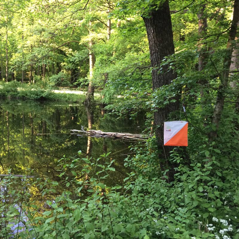 Orientierungslauf